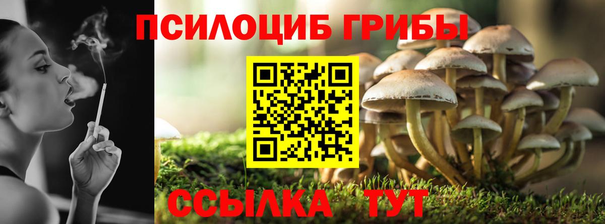 Галлюциногенные грибы MAGIC MUSHROOMS Клин
